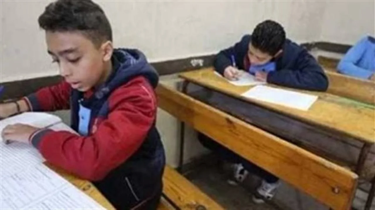 رابط الاستعلام.. موعد ظهور نتائج الشهادة الابتدائية وتوزيع درجات المواد والأنشطة لعام 2026